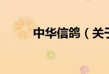 中華信鴿（關于中華信鴿的介紹）