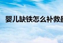 嬰兒缺鐵怎么補救最好（嬰兒缺鐵怎么補）