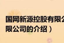 國網(wǎng)新源控股有限公司（關(guān)于國網(wǎng)新源控股有限公司的介紹）