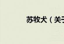 蘇牧犬（關(guān)于蘇牧犬的介紹）