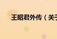 王昭君外傳（關于王昭君外傳的介紹）