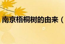 南京梧桐樹(shù)的由來(lái)（南京梧桐樹(shù)是怎么來(lái)的）