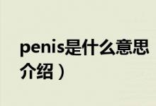 penis是什么意思（關于penis是什么意思的介紹）