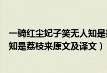 一騎紅塵妃子笑無人知是荔枝來全詩（一騎紅塵妃子笑無人知是荔枝來原文及譯文）