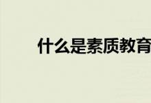 什么是素質(zhì)教育（素質(zhì)教育有哪些）