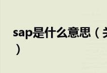 sap是什么意思（關(guān)于sap是什么意思的介紹）