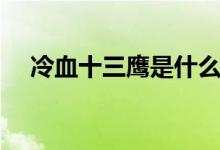冷血十三鷹是什么電視?。阌锌催^嗎）
