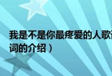 我是不是你最疼愛的人歌詞（關于我是不是你最疼愛的人歌詞的介紹）