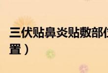 三伏貼鼻炎貼敷部位圖（三伏貼鼻炎貼什么位置）
