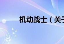 機(jī)動戰(zhàn)士（關(guān)于機(jī)動戰(zhàn)士的介紹）