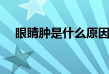 眼睛腫是什么原因（眼睛浮腫原因分析）