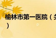 榆林市第一醫(yī)院（關(guān)于榆林市第一醫(yī)院的介紹）