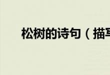 松樹的詩句（描寫松樹的詩句有哪些）
