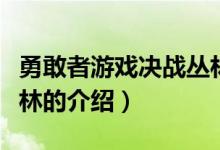勇敢者游戲決戰(zhàn)叢林（關(guān)于勇敢者游戲決戰(zhàn)叢林的介紹）