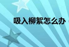 吸入柳絮怎么辦（吸入柳絮會怎么樣）