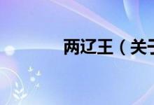 兩遼王（關(guān)于兩遼王的介紹）