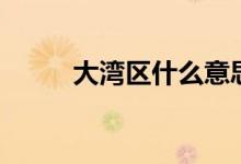 大灣區(qū)什么意思(什么是大灣區(qū))