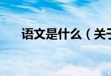 語(yǔ)文是什么（關(guān)于語(yǔ)文是什么的介紹）