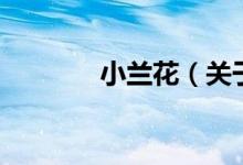 小蘭花（關(guān)于小蘭花的介紹）