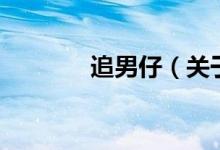 追男仔（關(guān)于追男仔的介紹）