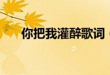 你把我灌醉歌詞（你把我灌醉歌簡(jiǎn)介）