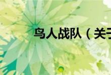 鳥人戰(zhàn)隊(duì)（關(guān)于鳥人戰(zhàn)隊(duì)的介紹）
