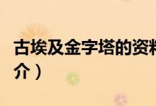 古埃及金字塔的資料（關(guān)于古埃及金字塔的簡介）