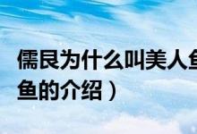儒艮為什么叫美人魚(yú)（關(guān)于儒艮為什么叫美人魚(yú)的介紹）