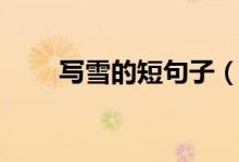 寫(xiě)雪的短句子（關(guān)于雪的唯美句子）