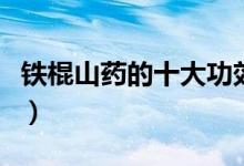 鐵棍山藥的十大功效（鐵棍山藥有哪十大功效）
