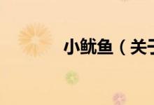 小魷魚（關(guān)于小魷魚的介紹）