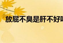 放屁不臭是肝不好嗎（放屁不臭是腸癌嗎）