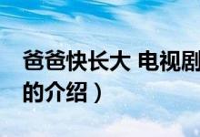 爸爸快長大 電視?。P(guān)于爸爸快長大 電視劇的介紹）