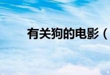 有關狗的電影（關于狗的電影推薦）