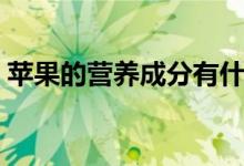 蘋果的營養(yǎng)成分有什么（蘋果是高熱食物嗎）