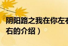 陰陽路之我在你左右（關(guān)于陰陽路之我在你左右的介紹）