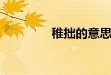 稚拙的意思（稚拙的意思）