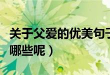 關(guān)于父愛的優(yōu)美句子（關(guān)于父愛的優(yōu)美句子有哪些呢）