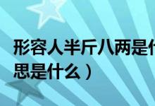 形容人半斤八兩是什么意思（人半斤八兩的意思是什么）