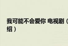 我可能不會(huì)愛(ài)你 電視?。P(guān)于我可能不會(huì)愛(ài)你 電視劇的介紹）