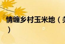 情纏鄉(xiāng)村玉米地(關(guān)于情纏鄉(xiāng)村玉米地的介紹)