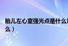 胎兒左心室強光點是什么意思28周（胎兒左心室強光點是什么）