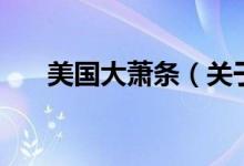 美國(guó)大蕭條（關(guān)于美國(guó)大蕭條的介紹）