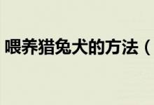 喂養(yǎng)獵兔犬的方法（喂養(yǎng)獵兔犬的方法簡述）
