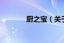 廚之寶（關(guān)于廚之寶的介紹）