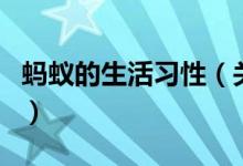 螞蟻的生活習(xí)性（關(guān)于螞蟻的生活習(xí)性的介紹）