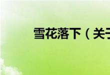 雪花落下（關于雪花落下的介紹）