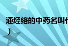 通經(jīng)絡(luò)的中藥名叫什么（通筋絡(luò)的中藥有哪些）