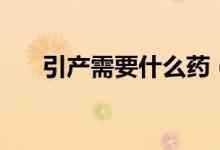 引產需要什么藥(引產需要什么證明)