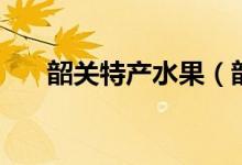 韶關(guān)特產(chǎn)水果（韶關(guān)特產(chǎn)水果的介紹）